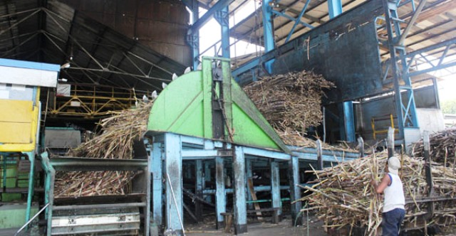 Proses Pembuatan Gula