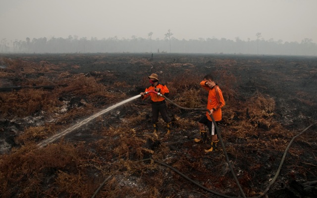 KABUT ASAP : Belajar dari Finlandia, Lahan Gambut Mau Dijadikan Sumber Energi