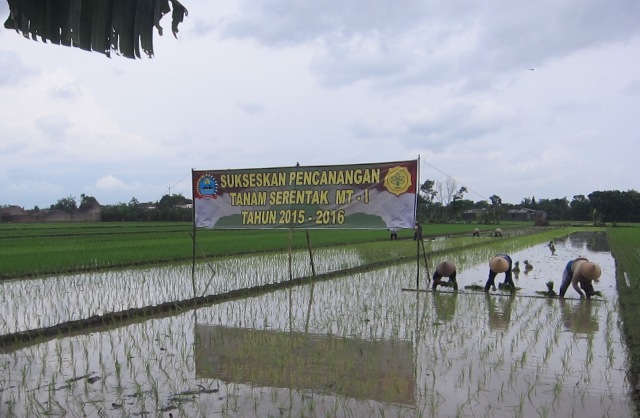 Akhir Tahun, Seluruh Desa di Trucuk Klaten Ditarget Miliki BUMDes