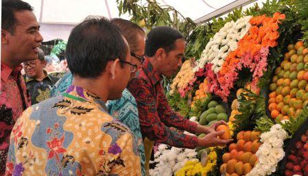 Pemerintah Akan Bentuk Dewan Penunjang Ekspor Buah dan Sayur