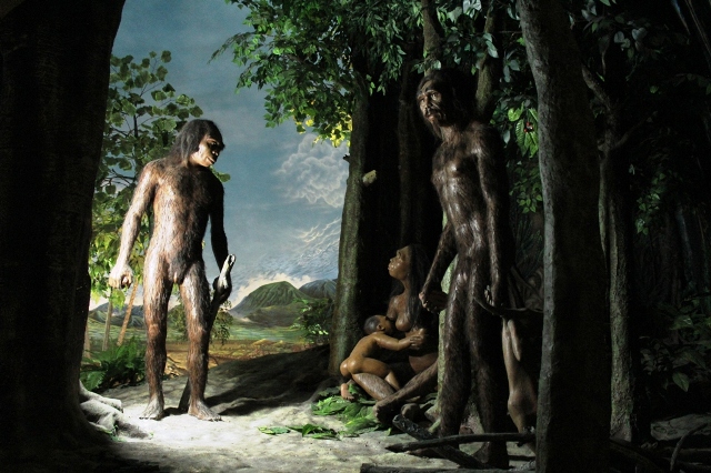 Diaroma manusia purba tinggal di gua, di Museum Sangiran (Mariyana Ricky/JIBI/Solopos)