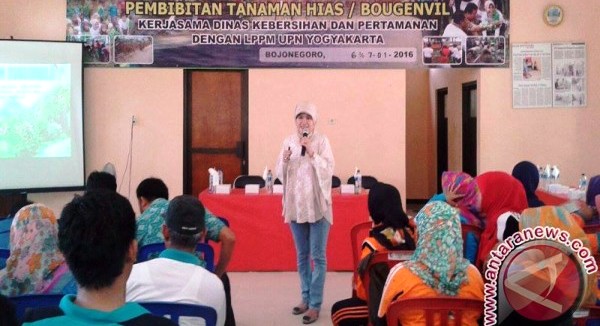 TATA KOTA BOJONEGORO : Tanam 180.000 Bugenvil di Tepi Jalan, Bojonegoro Gandeng UPN Jogja