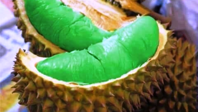 76+ Gambar Aneka Durian Terlihat Keren 76+ Gambar Aneka Durian Terlihat Keren