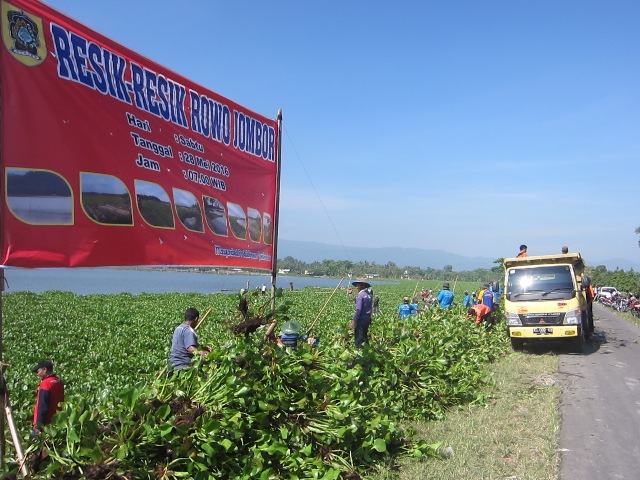 WISATA KLATEN : Ini Yang Jadi Pengganggu Ekosistem Rawa Jombor