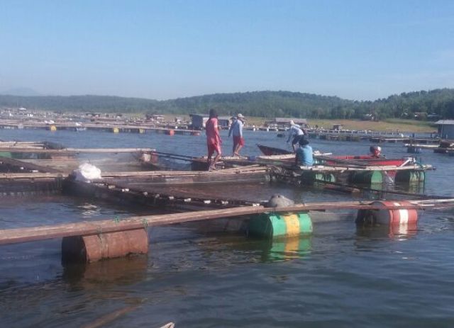 INFRASTRUKTUR BOYOLALI : Jalan Juwangi-WKO Akhirnya Direhab Setelah 29 Tahun Tak Dirawat