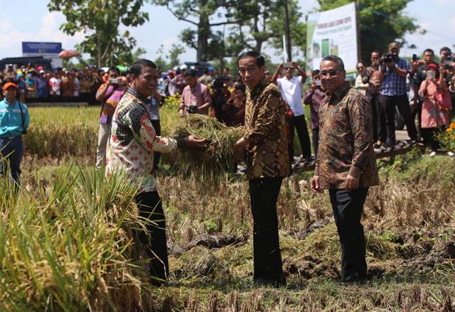 Optimististis Urusan Pangan, Jokowi Pusing Kebutuhan Energi