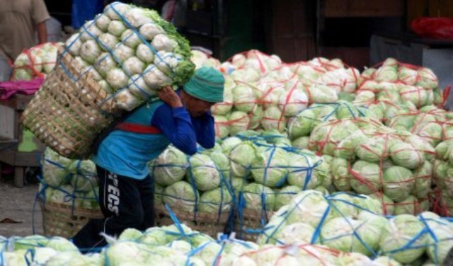 FOTO PERTANIAN JATENG : Harga Sayur Bandungan Naik 20%-40%