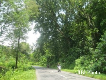 Pengendara melintas di jalan kawasan Gunung Pegat, Nguntoronadi, Wonogiri, Senin (31/10/2016). (Rudi Hartono/JIBI/Solopos)