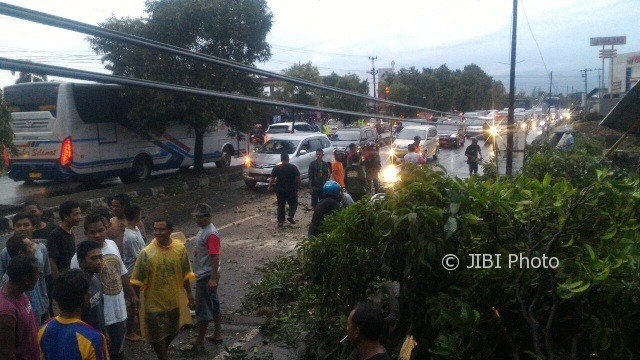 Pohon Tumbang di Jogonalan, Lalu Lintas Solo-Jogja Macet
