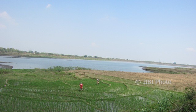 KEKERINGAN SOLORAYA : Air Waduk Lalung dan Delingan Karanganyar Mulai Susut