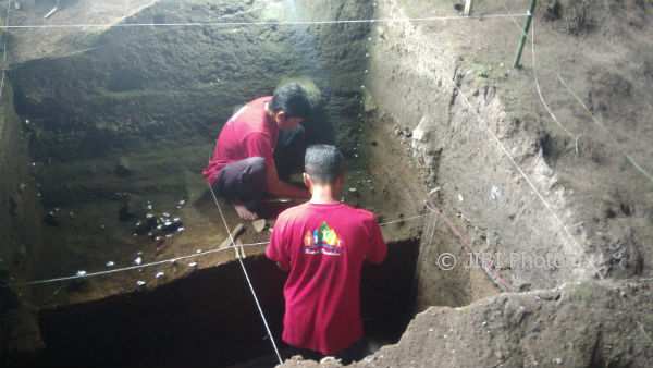 Fosil Binatang Purba Ditemukan di Gunungkidul