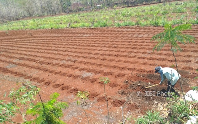 PERTANIAN WONOGIRI : Tak Kunjung Hujan, Petani Pracimantoro Gelar Salat dan Doa Bersama