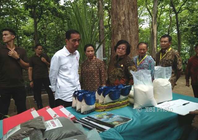 Dapat Izin Pemanfaatan Hutan, Begini Tanggapan Petani Madiun