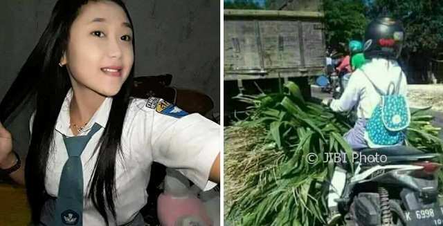FOTO VIRAL : Pulang Sekolah Angkut Pohon Jagung, Siswi Cantik Grobogan Viral di Medsos
