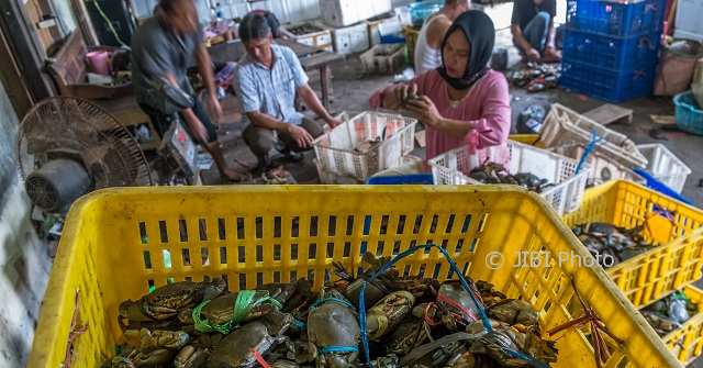 EKSPOR JATENG : Ekspor Kepiting Bakau Alami Peningkatan