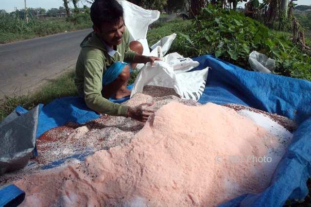 PERTANIAN SRAGEN : Ribet, Ribuan Petani Kalijambe Ogah Pakai Kartu Tani untuk Tebus Pupuk