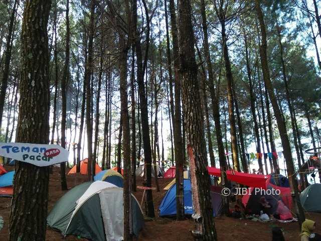 Wisata Madiun Berkemah Semalam Demi Promosikan Hutan Pinus Wisata Madiun Berkemah Semalam Demi Promosikan Hutan Pinus
