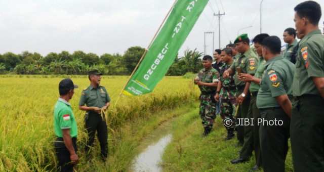 PERTANIAN JATENG : Tentara Demak Berlatih Kelola Pertanian