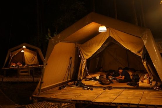 De Loano Glamping di hutan pinus di Perbukitan Menoreh yang dikelola Badan Otorita Borobudur. De Loano menjadi destinasi wisata berwawasan lingkungan bertema cultural ecotourism. (Istimewa/Badan Otorita Borobudur)