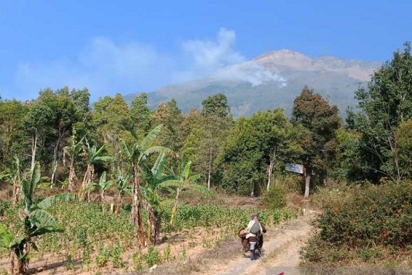 Hutan Gunung Sumbing Kembali Membara