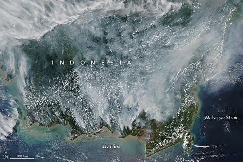 Foto wilayah Kalimantan yang diambil dari MODIS pada satelit Aqua NASA, Minggu (15/9/2019). (Nasa.gov)