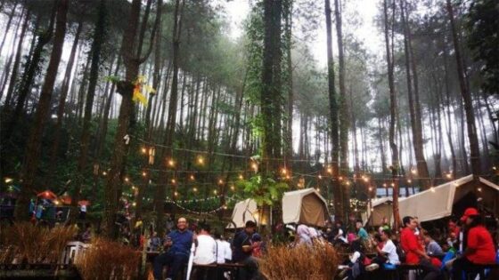 Glamour Camping (Glamping) De’Loano dengan mengambil konsep ekowisata. (Istimewa)