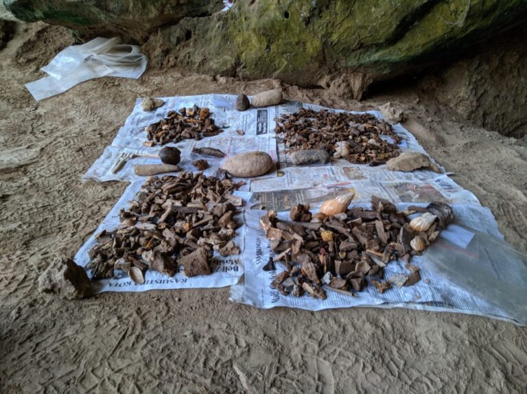 Alat Dari Tulang Dan Batu Manusia Purba Ditemukan Di Gua Lawa Ponorogo Solopos Com Alat Dari Tulang Dan Batu Manusia Purba Ditemukan Di Gua Lawa Ponorogo Solopos Com