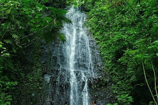Curug Indrokilo. (Jatengprov.o.id)
