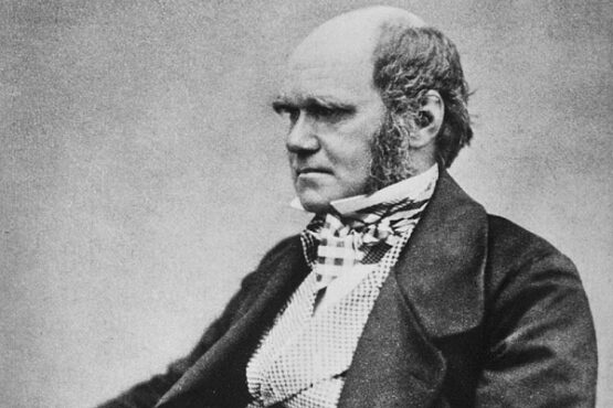 Charles Darwin. (Wikimedia.org)