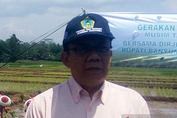 500 Ha Sawah di Banyumas Potensial Kebanjiran