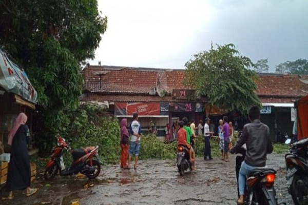 Hujan Deras Disertai Angin Kencang, 6 Rumah di Batang Roboh