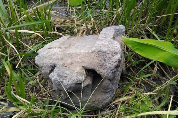 Makara yang ditemukan di tengah sawah Dukuh Geneng, Desa Jagalan, Karangnongko, Klaten, sebelum hilang. (Istimewa)