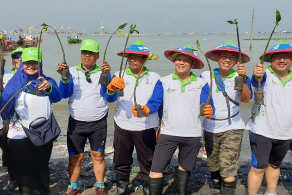 General Manager Pertamina MOR IV Iin Febrian (ketiga dari kanan) bersama stakeholder terkait menunjukkan bibit mangrove sebelum melakukan penanaman dan clean up day Pertamina di Kampung Tambakrejo, Tanjung Mas, Semarang Utara, Sabtu (7/12/2019). (Antara-Nur Istibsaroh)