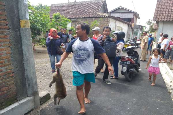 Kera Mengamuk Serang Ketua RT di Wonosari Klaten