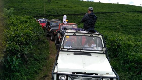 Petualangan offroad di kebun teh Kemuning menumpang jip wisata. (Solopos.com/Chelin Indra Sushmita)