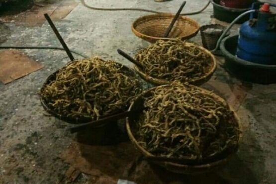 Keripik belut olahan salah satu warga Desa Gedongan, Baki, Sukoharjo. (Solopos/Indah Septiyaning W.)