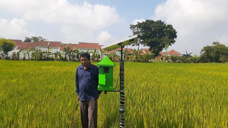 Petani Madiun Bikin Alat Pengusir Tikus Ramah Lingkungan