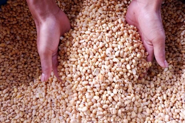 Arab Saudi Cari Eksportir Makanan Siap Konsumsi, Kuliner Ini yang Dicari