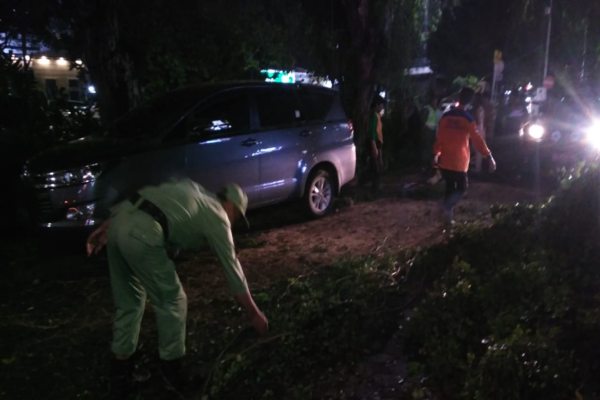 Petugas membersihkan sisa pohon yang tumbang menimpa mobil di city walk Jl. Slamet Riyadi, Solo, Selasa (4/2/2020). (Solopos/Akhmad Ludiyanto)