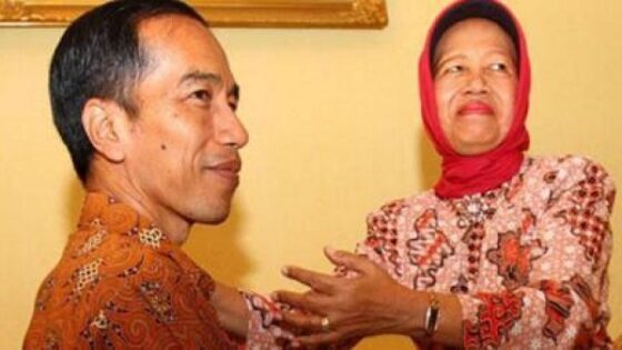 ibu jokowi