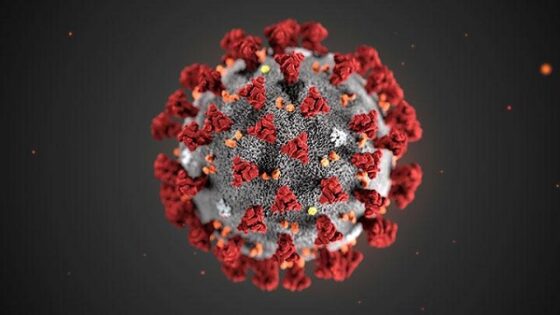 tingkat kematian kasus virus corona