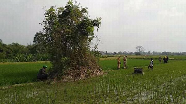 Banyak Cagar Budaya di Kawasan Terdampak Tol Solo-Jogja, BPCB Terjunkan Tim Ke Klaten