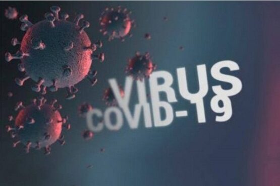 data terbaru covid-19 kasus positif sukoharjo Ilustrasi virus corona pemicu Covid-19. (Antara-Dok.) santunan warga meninggal covid-19 boyolali bantuan
