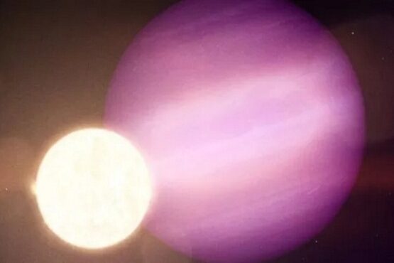 Planet mengorbit bintang kerdil putih. (Nasa.gov)