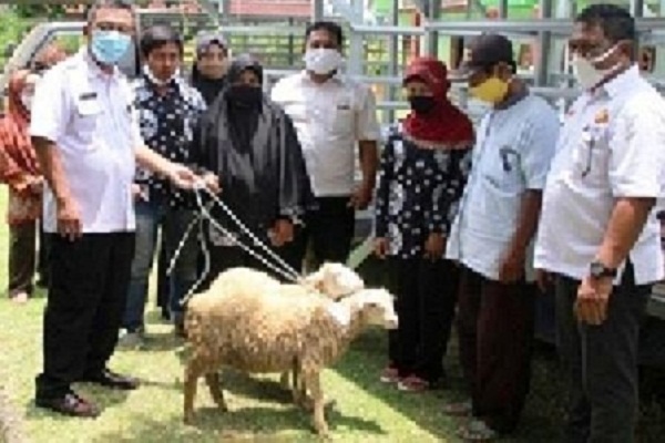 Bantuan Difabel Intelektual Kemensos di Klaten Dibelikan Kambing