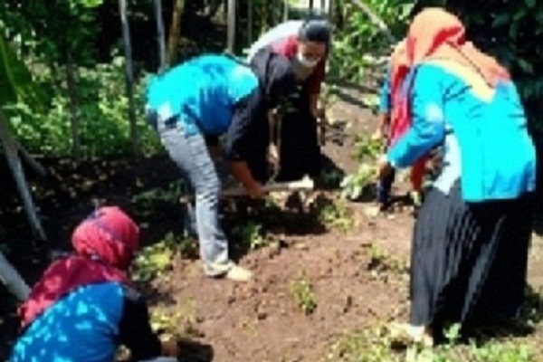 Jogo Tonggo di Sragen Pacu Kepedulian Warga, Toyogo Juara I