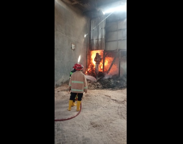 Kebakaran Sukoharjo: Timbunan Serbuk Kayu PT Solo Rimbaniaga Telukan Terbakar