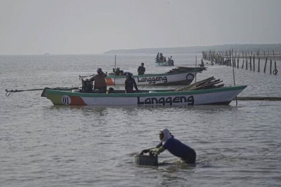 Warga terlibat dalam penanaman ratusan ribu mangrove melalui kegiatan padat karya di pesisir pantai Randuboto, Kecamatan Sidayu, Kabupaten Gresik, Rabu (28/10/2020). (Istimewa)