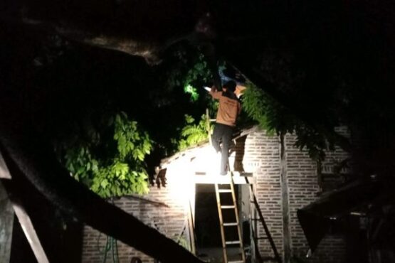 Sejumlah relawan mengevakuasi pohon tumbang yang menghantam rumah dalam kondisi gelap usai hujan disertai angin kencang melanda kawasan Sragen, Sabtu (14/11/2020) malam. (Khusus / BPBD Sragen)