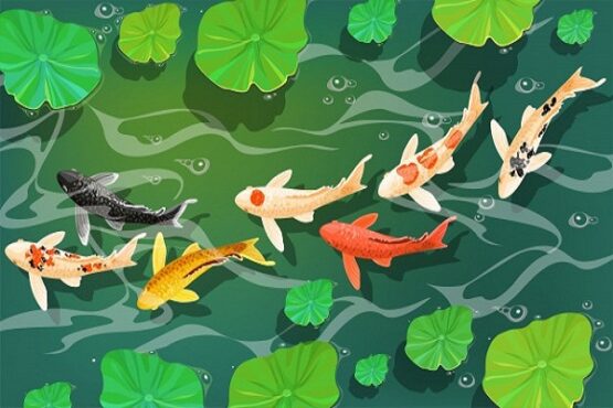 Lukisan ikan koi. (Freepik.com)